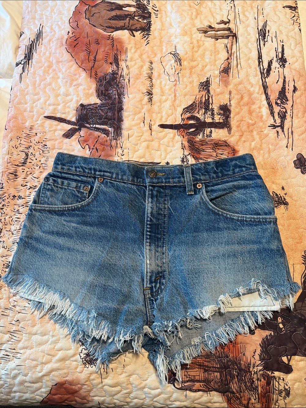 Vintage Levi’s Shorts